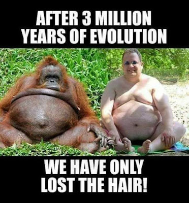 After 3 million years...