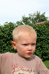 IMG_9867