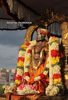 Sri Aandal,Aadipooram,Purappadu,Video, Divya Prabhandam,Sri Parthasarathy Perumal, Triplicane,Thiruvallikeni,Utsavam,