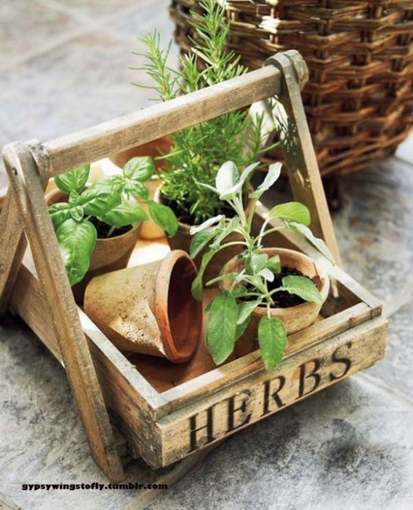 wooden herb box with plants