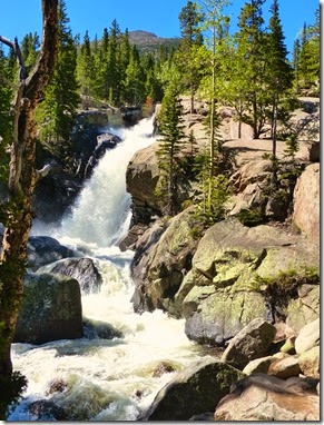 09 - Rockies43