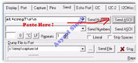 send command at realterm