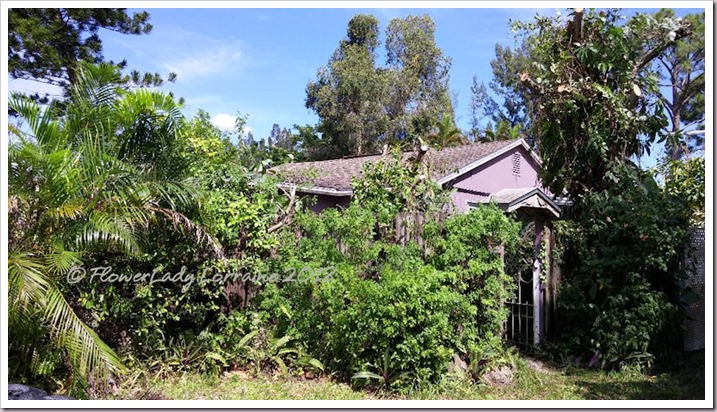 08-23-plum-cottage