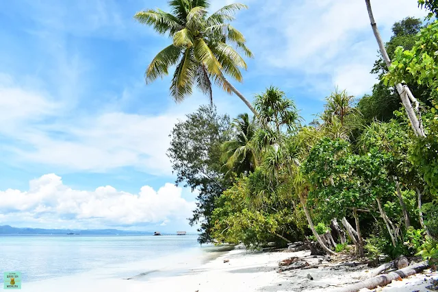 Isla de Kri, Raja Ampat (Indonesia)