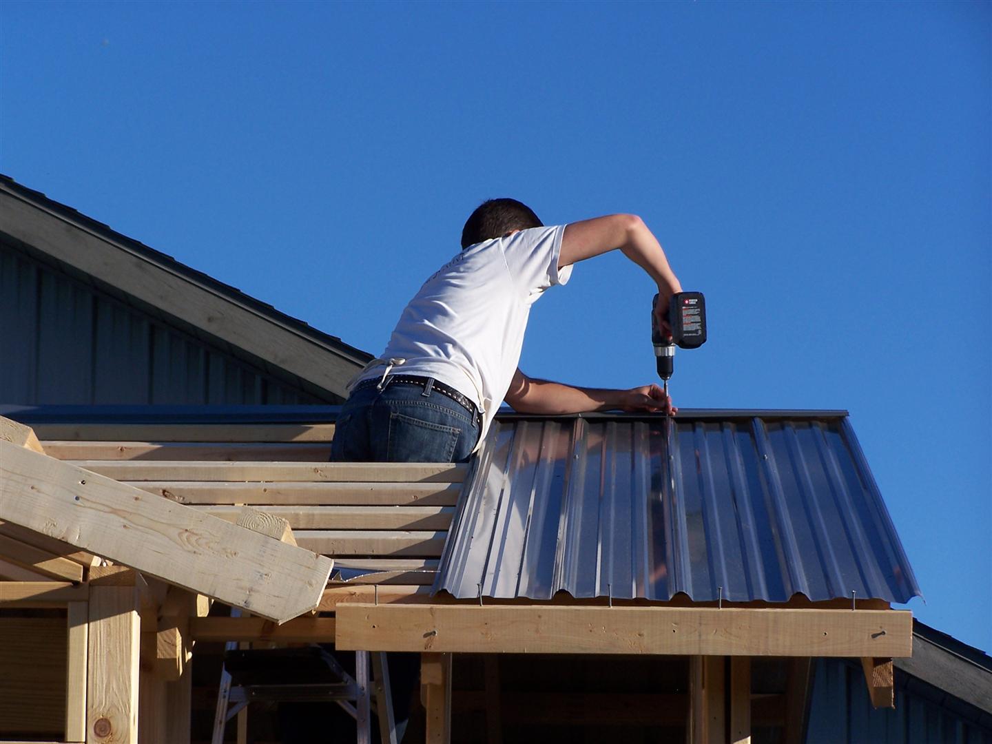 Life of Gregory D: Garden Shed - Day 5-9 - Roof Framing, Siding