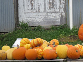 pumpkins by an old door
