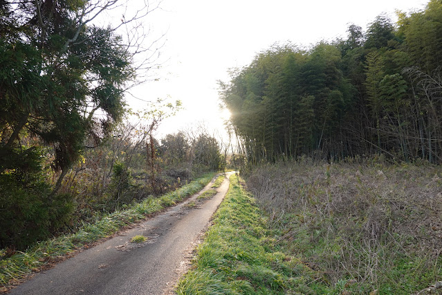 島根県安来市中海町