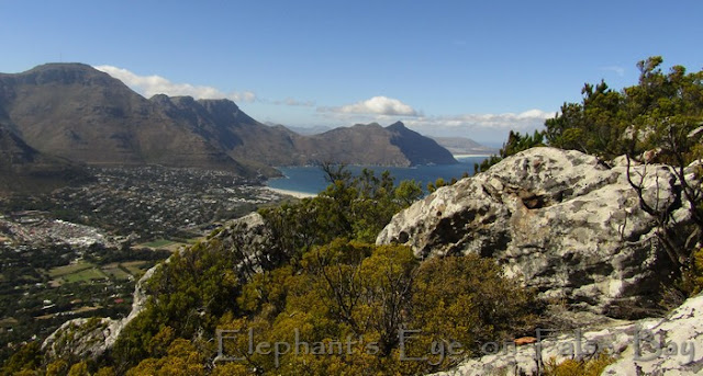 From Little Lion's Head to Chapman's Peak Drive