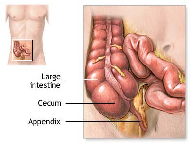 Alternative treatment for heartburn urine and his arrest and change its color ((inflammation of the kidney and bladder))