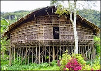 Rumah Adat Papua Barat