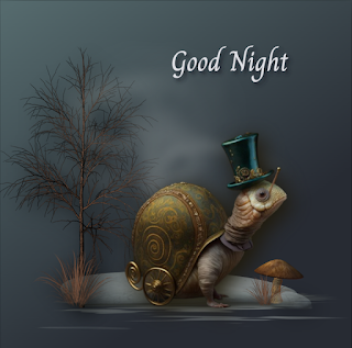 Fantasy Forest Good Night