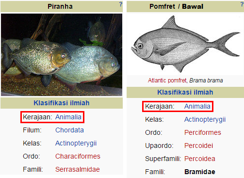 720 Perbedaan Antara Ikan Air Laut Dan Ikan Air Tawar Terbaik