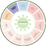 imagen decorativa de LA RUEDA DE NUTRICIÓN INTELIGENTE DE HERBALIFE – NUTRICIÓN EXTERNA en mi Blog sobre vivir la aventura de manifestar salud y vitalidad jugando deliberadamente con tu energía. Comiendo sano y equilibrado en nutrientes y ejercitando alegremente el cuerpo.