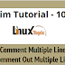 10 Comment Multiple Line in Vim Editor comment | Avoid One by One Comment the Line in Vim
