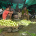 Vendor selling Corn