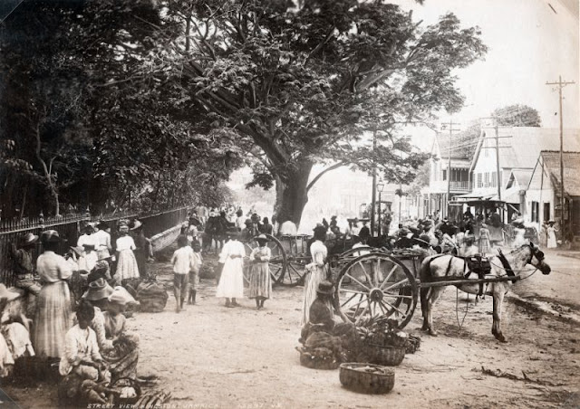 Fotografías antiguas de Kingston (Jamaica) en la década de 1890