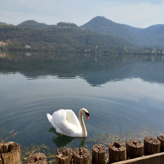 lago di fimon valle dei mulini passeggiata