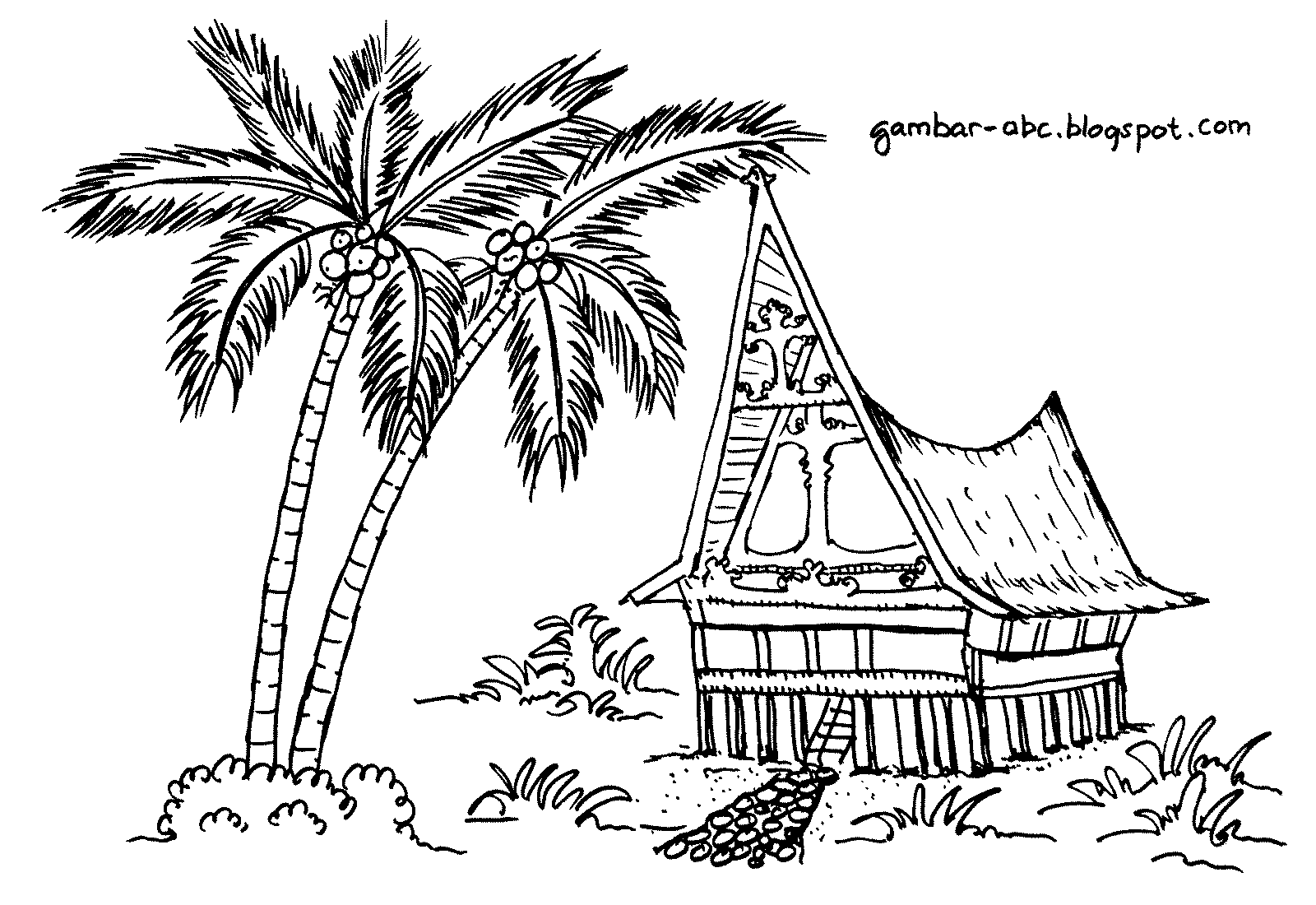 Gambar Kartun Rumah Adat Toraja. 31 denah rumah adat papua 