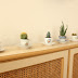 Fincandaki Kaktüslerim / My cacti in the cups