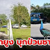 “นกยูงป่วนหมู่บ้าน!” ชาวบ้าน Tutbury เดือดร้อน ฝูงนกกว่า 40 ตัวส่งเสียง-ทำลายสวนไม่หยุด