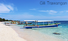 http://cherryvegzombie.blogspot.fr/2014/01/gili-trawangan-et-les-chats_29.html