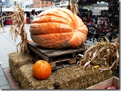 Ottawa Oktoberfest Pumpkin