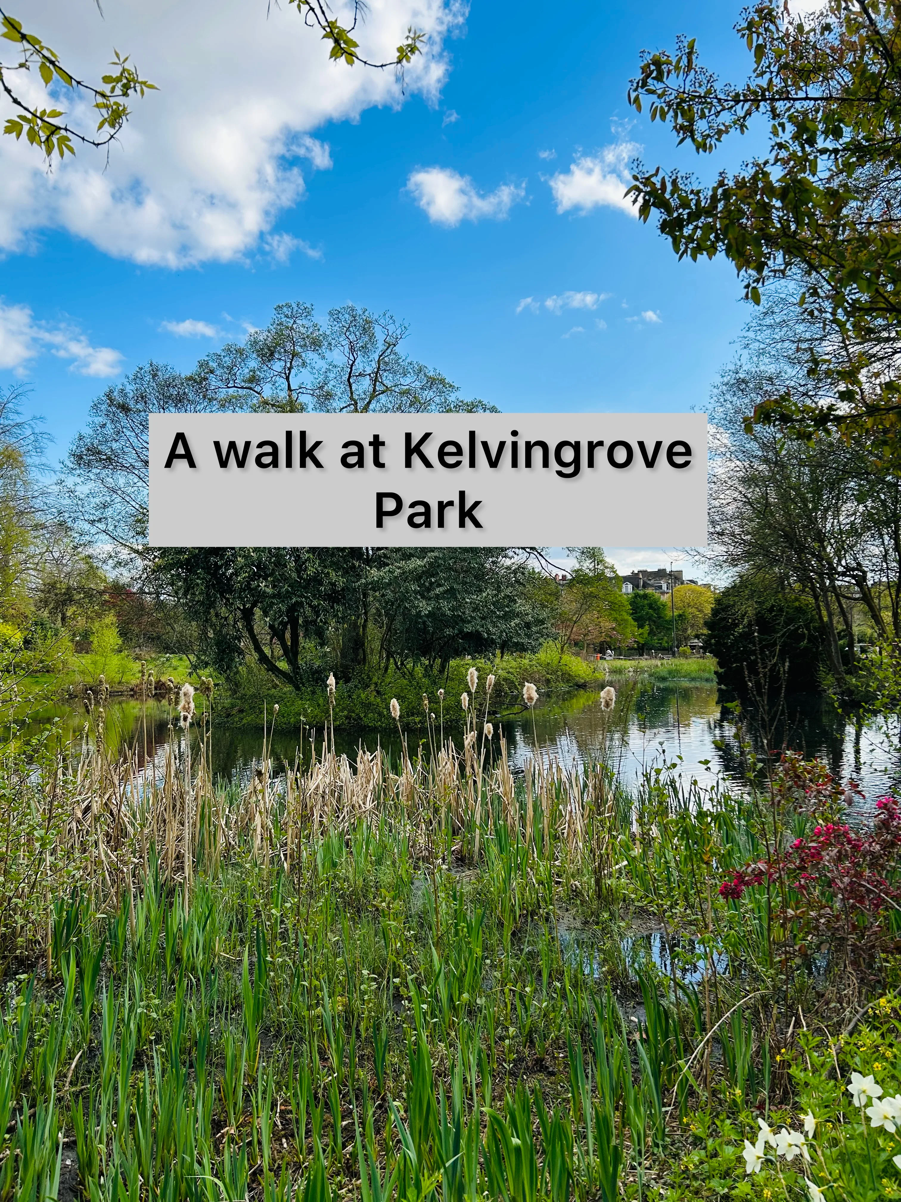 UK lifestyle blogger visits kelvingrove park