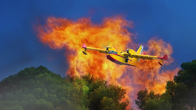 Erneuter Waldbrand auf Teneriffa