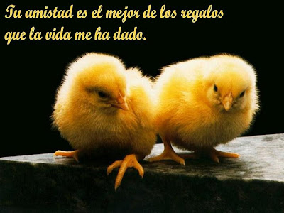 De Amistad Pensamientos reflexiones y frases - imagenes grandes de amistad