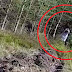 Video : UN DRONE AVISTA UNA CRIATURA HORRIBLE EN MEDIO DE UN BOSQUE 