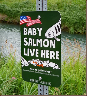 Seward AK4-15 Aug 2018