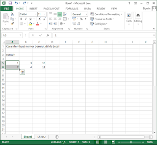 Cara Membuat Nomor Berurut Otomatis di Excel