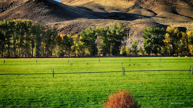 Salmon River Idaho geology field trip travel copyright RocDocTravel.com