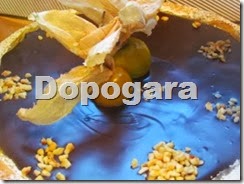 Dopogara