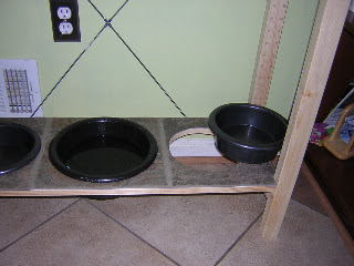 dog bowl stand