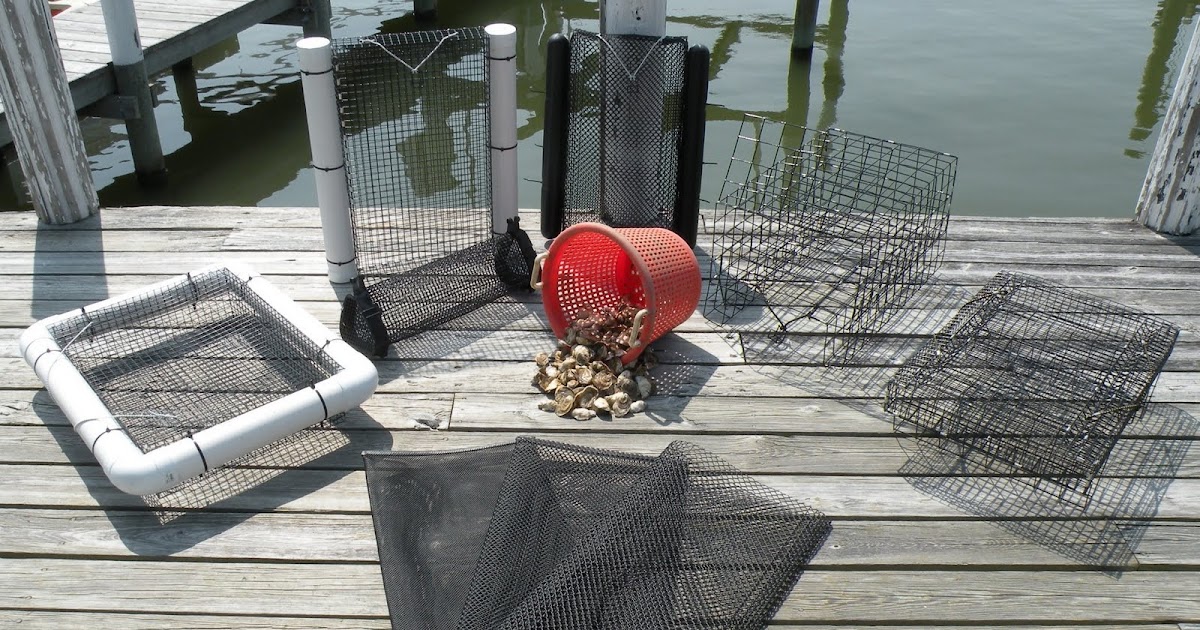 THE OYSTER IS OUR WORLD: OYSTER GARDENING SUPPLIES