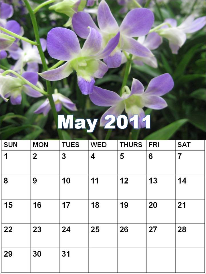 may calendar 2011 blank. may calendar 2011 template.