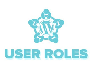 Role users wordpress level
