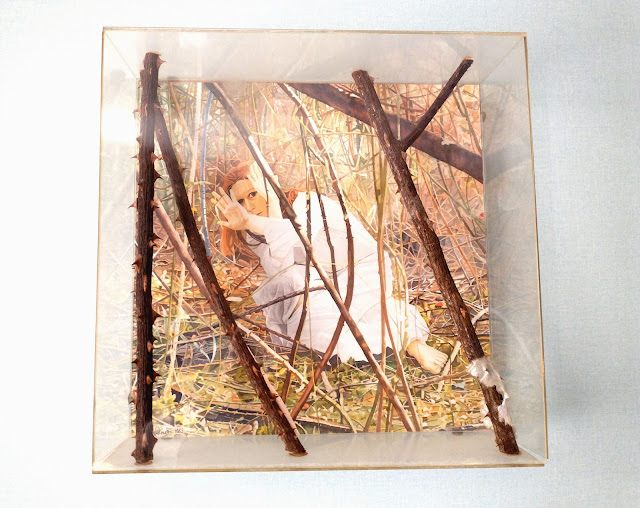 A mixed media painting (watercolour, plexiglass, thorn branches and satin) titled "Aux Abois" by William Walkington in 1983