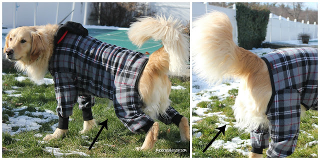 ultra paws snojam fleece dog coat keeps dogs protected during the winter