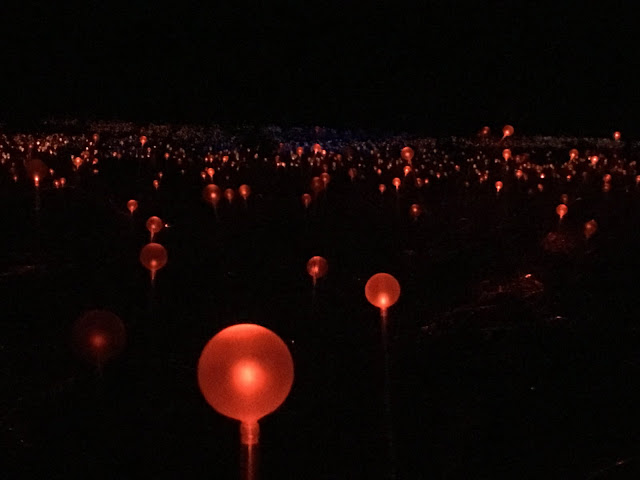 Field of Light Uluru Australia