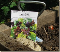 0908 Salad Mix