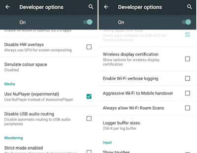 Developer Option