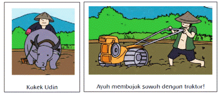 membajak sawah