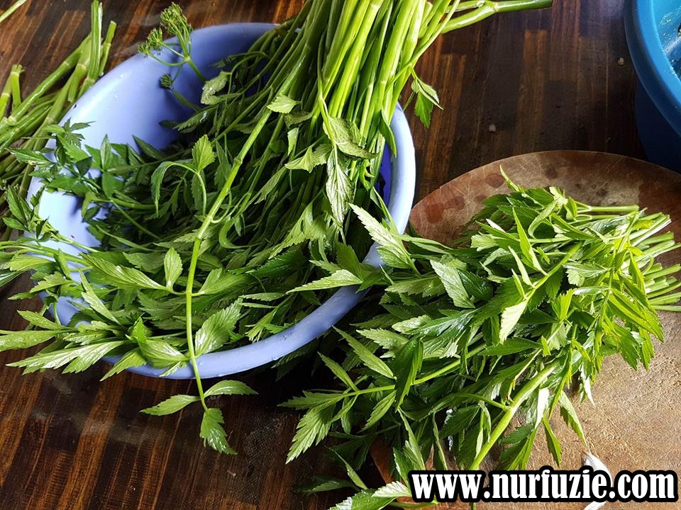 Cara Mudah Buat Kerabu Daun Selom dan Kerisik - Nurfuzie.com