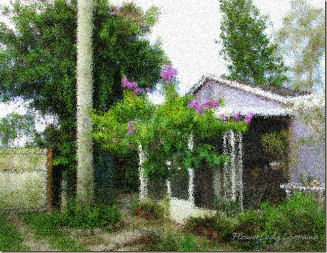 06-25-cottage-east