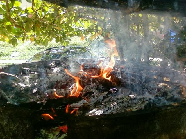 Fotos - Um assado de bodó no domingo