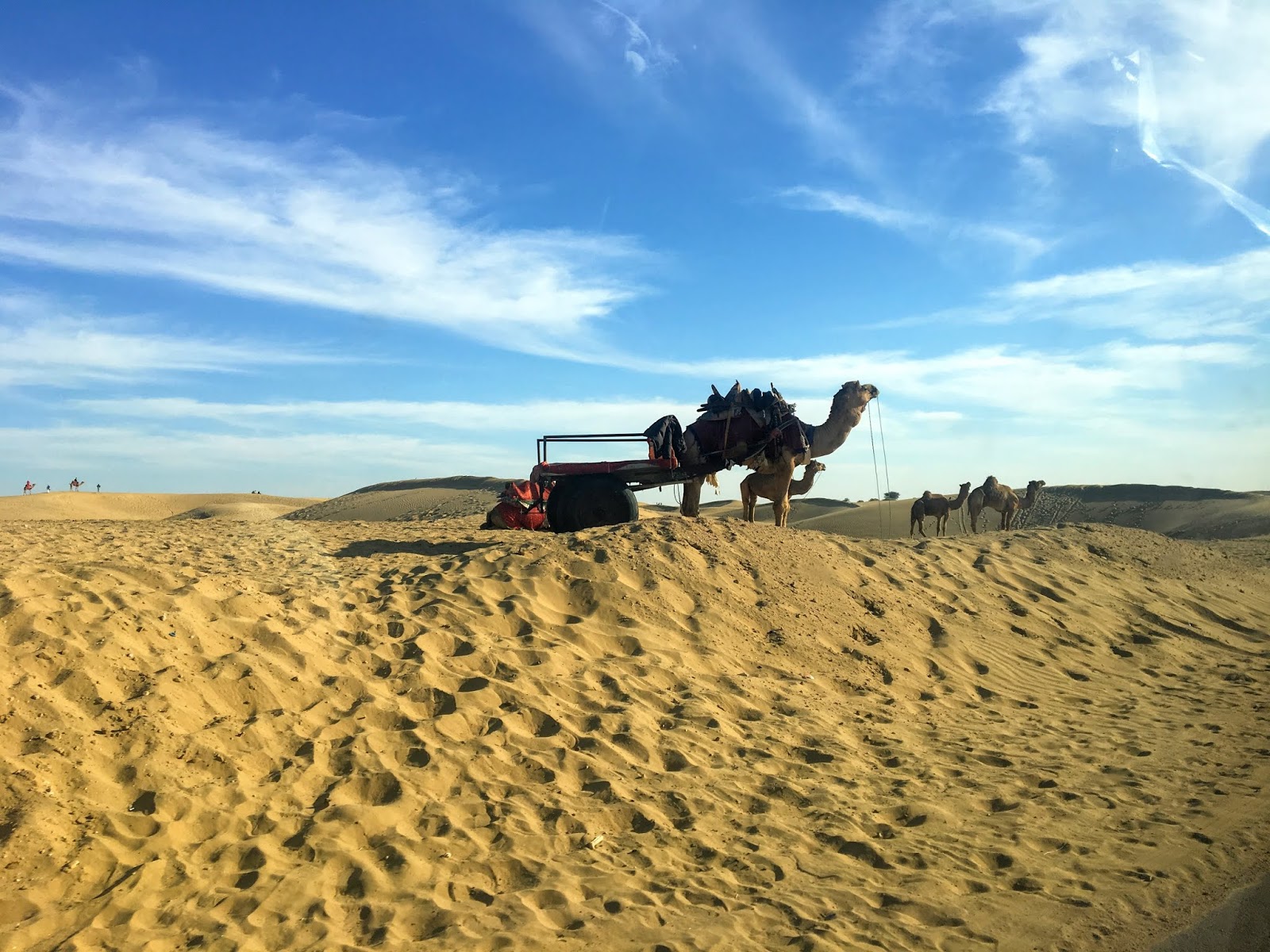Sam Sand Dunes, Rajasthan