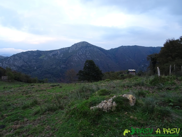 Bajando a Peñalba