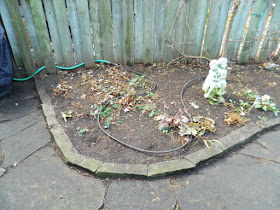 Toronto Coxwell Danforth Back Garden Fall Cleanup After by Paul Jung Gardening Services--a Toronto Organic Gardening Company